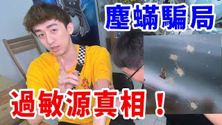 踢爆塵蟎騙局！肉眼根本看得見！我們都被商人騙了？【好棒Bump】