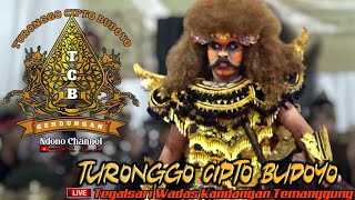 TCB OYE 🔥 TURONGGO CIPTO BUDOYO GENDUNGAN LIVE TEGALSARI WADAS KANDANGAN TEMANGGUNG