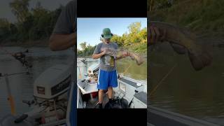 cpr-catch, picture , release #bbfishing #catchthefever #shorts #catfishing