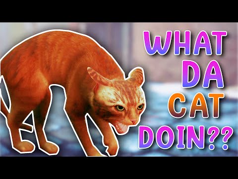Feline Propaganda | A Peculiar Overview of Stray