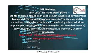 Hiring Now - DotNet TechLead