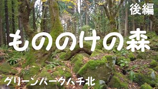 もののけの森【グリーンパークハチ北】後編　おやじソロキャンプ