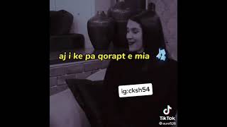 Cka ka shpija - Oj zogo