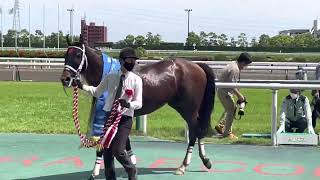 京都ハイジャンプ🐎優勝㊗️