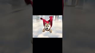 柴犬要去拯救世界了