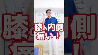【膝内側の痛み】１分で膝の内側の痛みの原因と解消させる方法を解説！ #Shorts