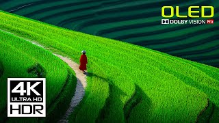 Unbelievable: The Most Stunning HDR Video You Haven't Seen Yet! - 4K 60 FPS Dolby Vision