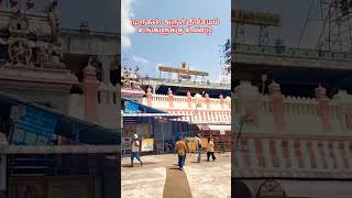 ஓம் சரவணபவ.. #முருகன்துணை #முருகா #முருகன் #முருகப்பெருமான் #முருகன்வழிபாடு #சரவணபவ