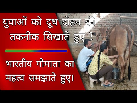cow milking by hand || युवाओं को दूध दोहन की तकनीक सिखाते हुए