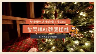 智家樂外展家庭電子資訊站 - 智製爆紅韓國椪糖