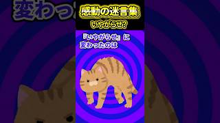 【2ch感動スレ】　いやがらせ？　#2ch #2ch感動スレ #感動する話 #ゆっくり