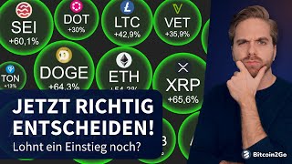Crypto: Missed the Altcoin Season? Everything you need to know!