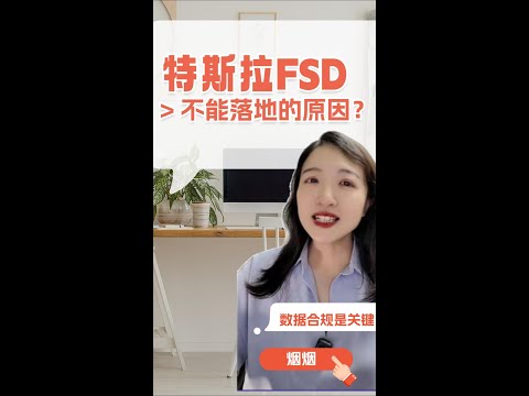 特斯拉FSD在国内迟迟不能落地的背后原因