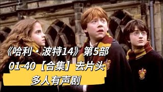 《哈利·波特14》第五部01-40【去片头】【合集】【有声书】【有声小说】【多人有声剧】