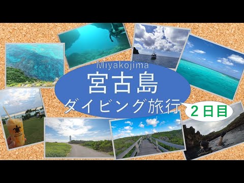 【沖縄ダイビングvlog】サラリーマン宮古島に行く(２日目) - 超絶透明度の海でダイビング三昧 - 宮古島東急ホテル/ツインケーブ/魔王の宮殿/本ドロップ/ブルータートル
