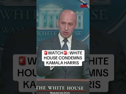 White House Deputy Chief of Staff Stephen Miller spoke out against  former VP Kamala Harris.