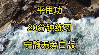 平甩功｜20分钟练习｜宁静无旁白版