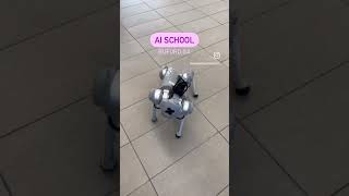 Do you know about Seckinger High School’s amazing programs? #airobots #aiedonline #aicourse #ai