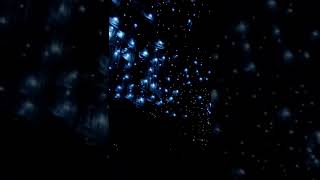 New Zealand is so beautiful that suffocating firefly holes. #travel #travel #travellife #traveling