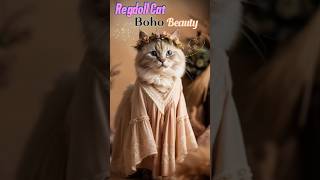 Boho Beauty Meet the Free-Spirited Ragdoll Cat 🌸 #petsshorts #cutecat #stylishcat #catlover #shorts