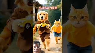 #viralvideo #vikramvibes #catvideos #funny #vikramcomedy #catcomedy #cartoon #catentertainment