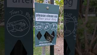 🔥America la Dog shit ku DNA test ah🤔🤔#tamilvlog #usatamilvlog #youtubeshorts #shorts #pets