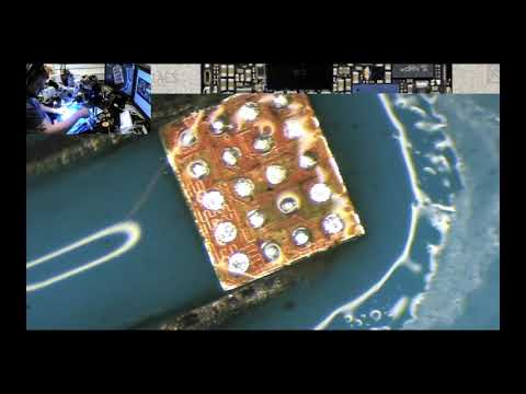 iPhone 5c liquid damage Chestnut Reball Backlight PMU