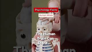 The human brain can store approximately 2,500,000 gigabytes. #shorts #psychologyfacts #humanmind