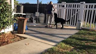 NW Week 2 Vid 2