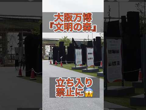 万博2025『文明の森』が立ち入り禁止に⚠️世界中から集めた130本を超える樹木が倒木の危機に！中の貴重な映像を紹介します#shorts#万博#expo#日本#大阪#夢洲#文明の森#立ち入り禁止