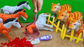 QURBANI 🐮‼️🐮 🦁🐊🐰IDULIDHA BAQRAEID COW CUTTING VIDEO POTONG SAPI SIMOLASI SAPILUCU @toystory7209 