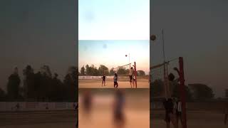 Jump server volleyball #provolleyball #trending #volleyballworld #volley #volleyball #newshorts