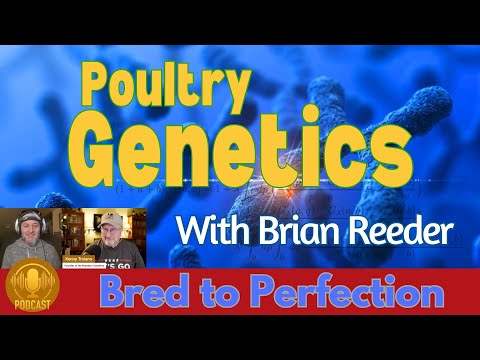 Unlocking Genetic Potential: The Role of Genetics in Shaping a Strain with Brian Reeder