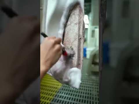 Oddly Satisfying Car Washing! Video Will Make You Relax. #shorts #soothing #asmr