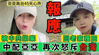 台灣中配亞亞抖音最新影片，已淪為『中共棄子』｜貴州小薇回村種田，入不敷出！｜Reaction Video