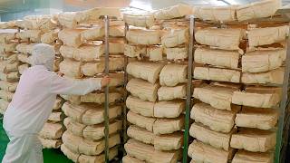 Bread Crumbs Mass Production / 麵包粉量產工廠 - Taiwan Food Factory