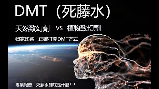 死藤水-植物迷幻劑VS松果體-天然迷幻劑