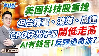 (有CC字幕)2024.11.01【美國科技股重挫 但台積電、鴻海、廣達 CPO矽光子卻開低走高 AI有雜音!反彈逃命波?】#楊育華 #股市御錢術
