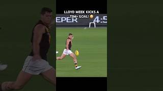 The Longest AFL Goal EVER!? (75 METRES?!) 🤯 #hawthorn #afl #shorts