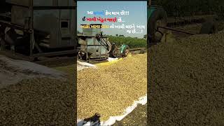 Baki khava varato khali leine khay j che...!#khedut #farming #viralvideo #sorts