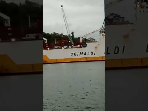 Retirada de contêiner do navio com guindaste MHC Liebherr