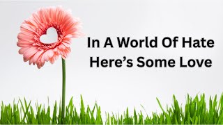 kindness in chaos a heartwarming tale of support and love video