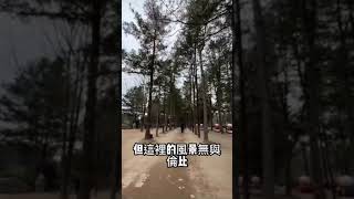 韓國首爾第二天！冬季戀歌#韓國#首爾旅遊 #南怡島