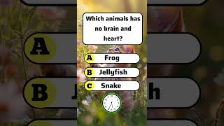 English guiz question ❓ #englishtest #triviatricks #quizgame #trivia #quiz #challenge #riddles
