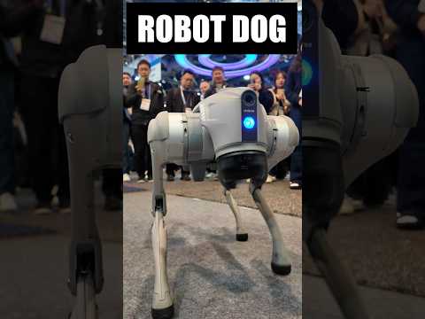 Robot Dog tricks!  @CES #robot #ces2024 @unitreerobotics #robotdog