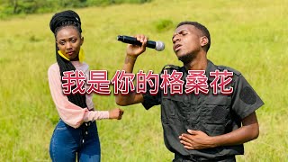 不能陪你去到海角天涯 就让花儿替着我陪你吧