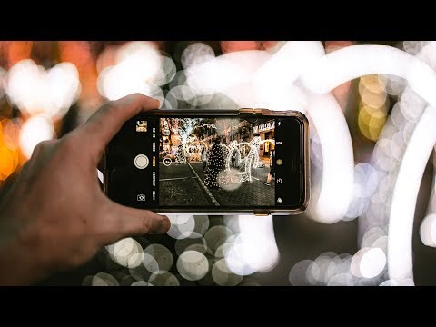 Christmas Lights Garden  _ DJI Osmo Pocket Low Light Auto