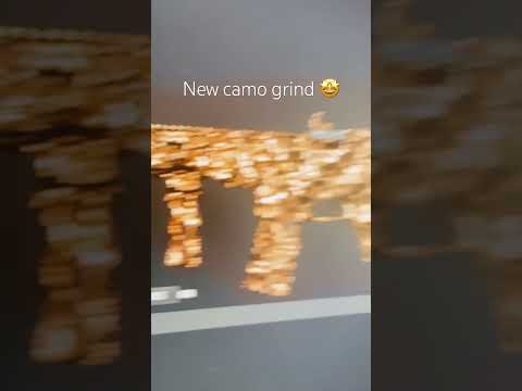 New camo!
