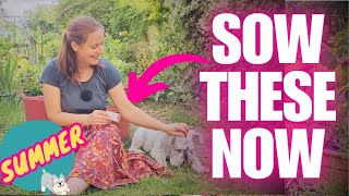 8 Seeds to Sow in July for HUGE Harvests this Year | UK Veg Garden & Allotment