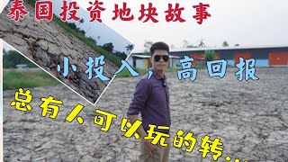 【泰国投资故事】别炒房了，来炒这个吧……